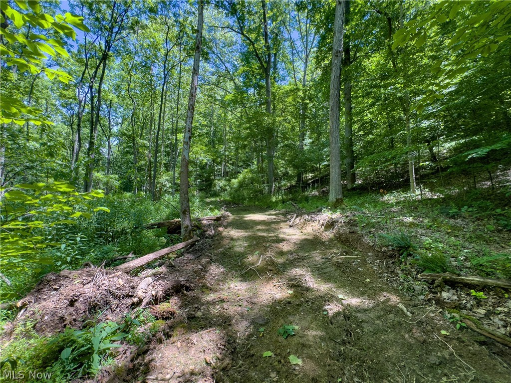 0 Long Hollow Road Pomeroy OH 45769