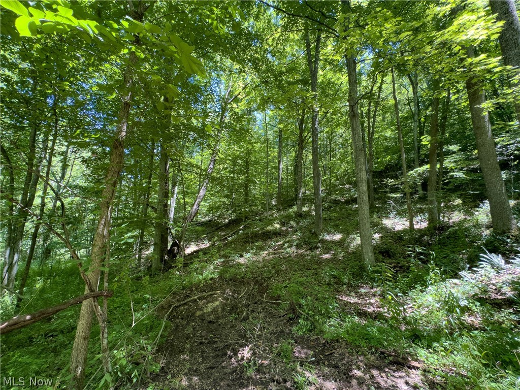0 Long Hollow Road Pomeroy OH 45769