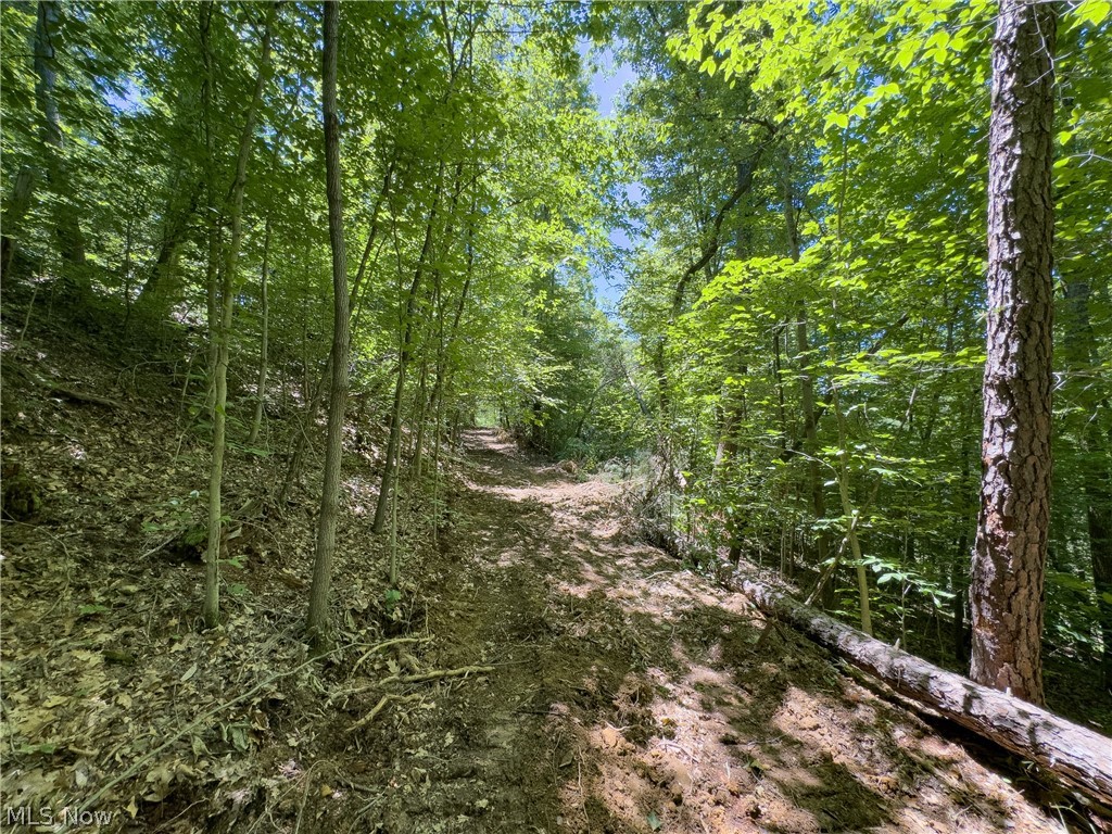 0 Long Hollow Road Pomeroy OH 45769
