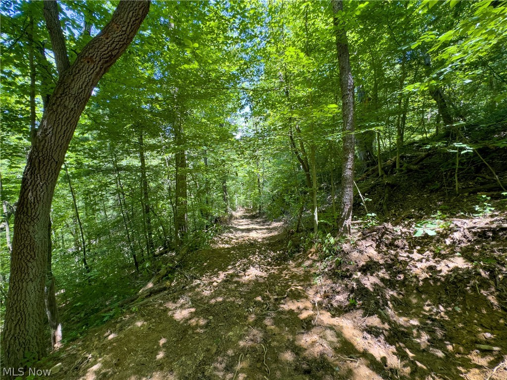 0 Long Hollow Road Pomeroy OH 45769