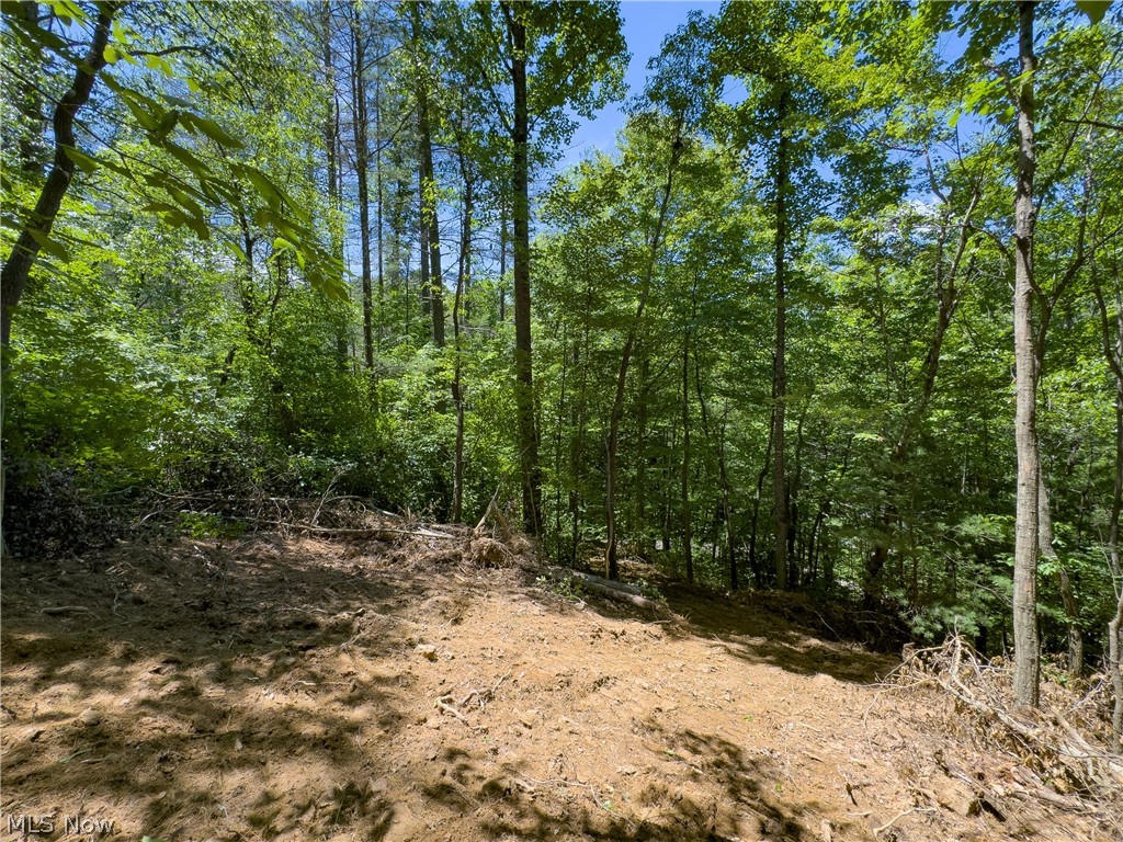 0 Long Hollow Road Pomeroy OH 45769