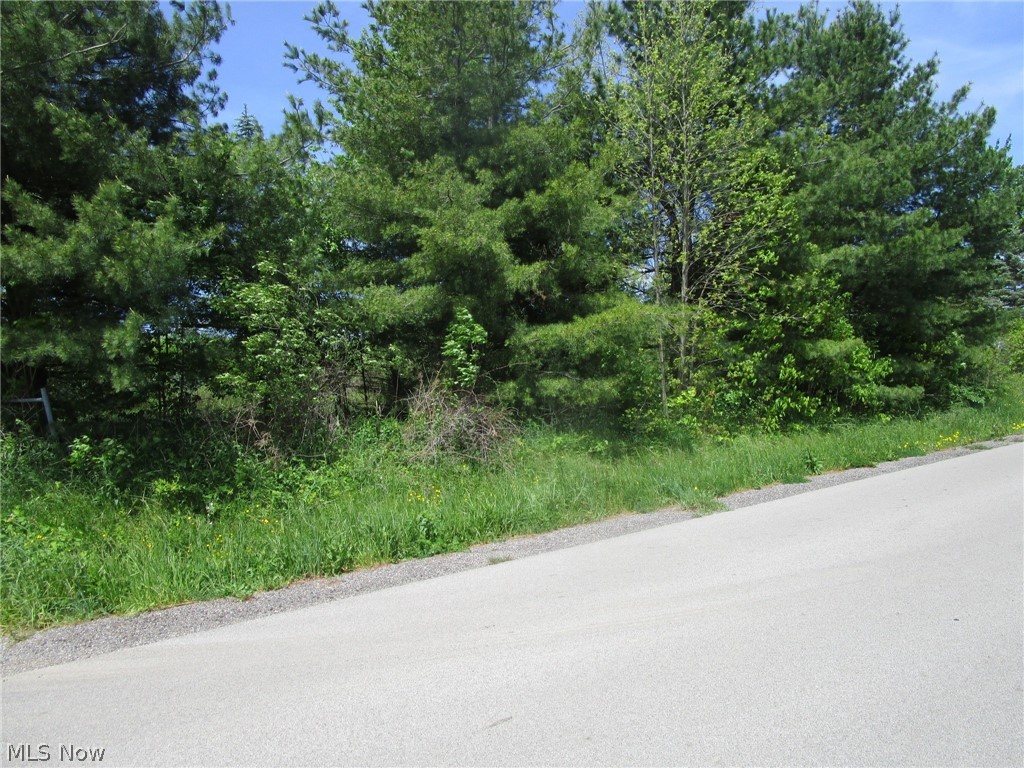 Vl Doyle Road Jefferson OH 44047