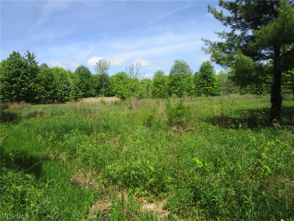 Vl Doyle Road Jefferson OH 44047