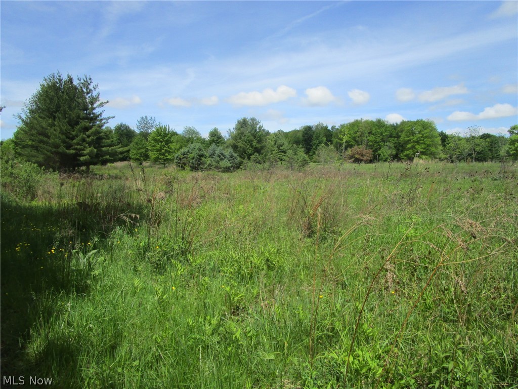 Vl Doyle Road Jefferson OH 44047