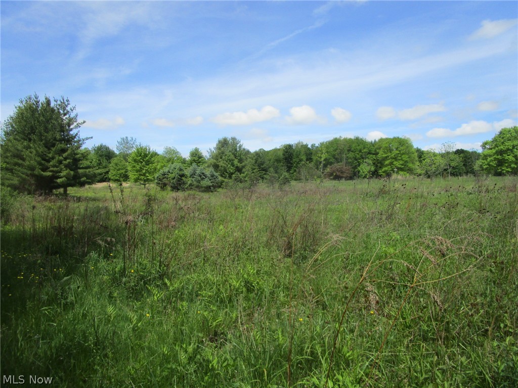 Vl Doyle Road Jefferson OH 44047