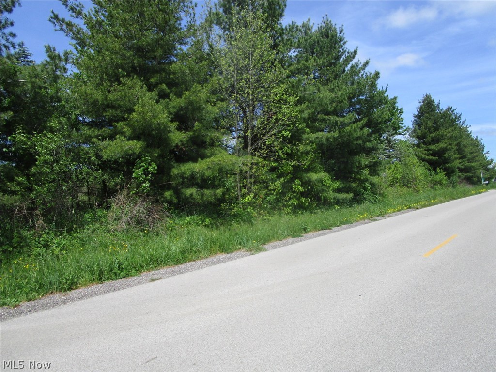 Vl Doyle Road Jefferson OH 44047