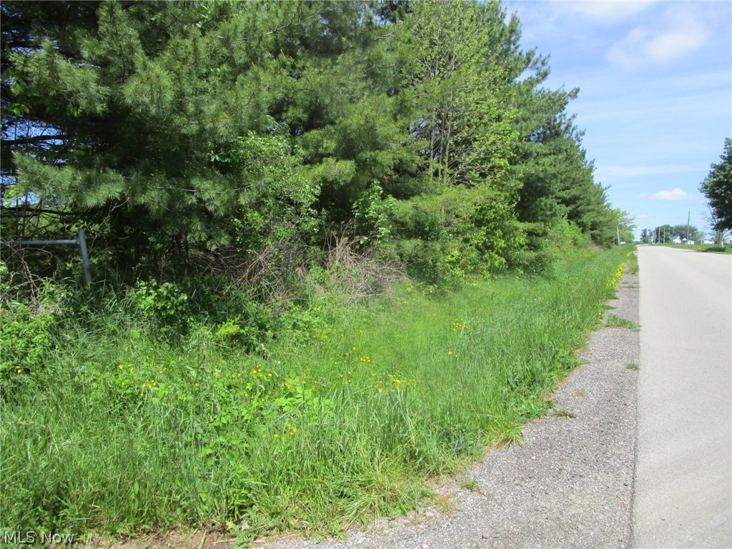 Vl Doyle Road Jefferson OH 44047
