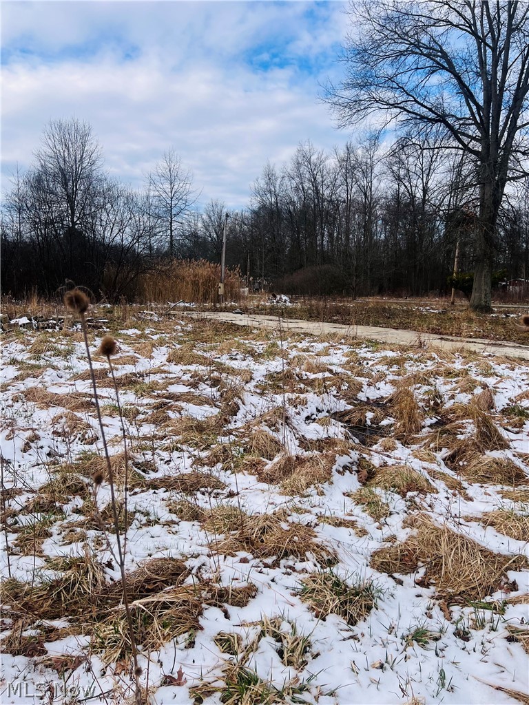 8670 Fortney Road Orwell OH 44076