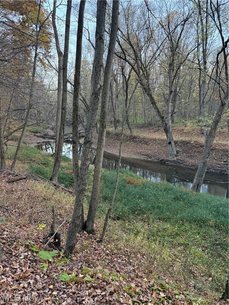 8670 Fortney Road Orwell OH 44076