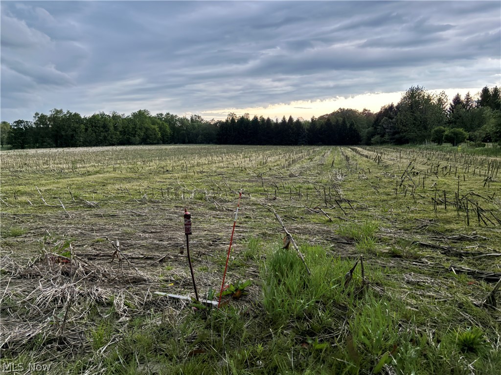 V/l Alger Road Richfield OH 44286