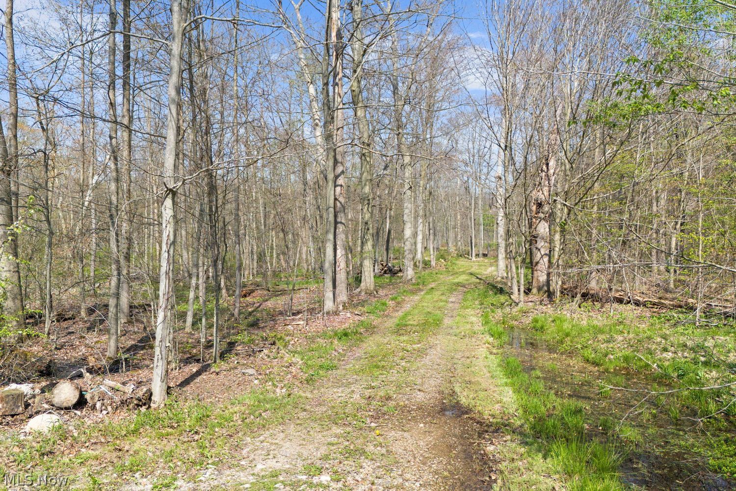 17990 Snyder Road Chagrin Falls OH 44023