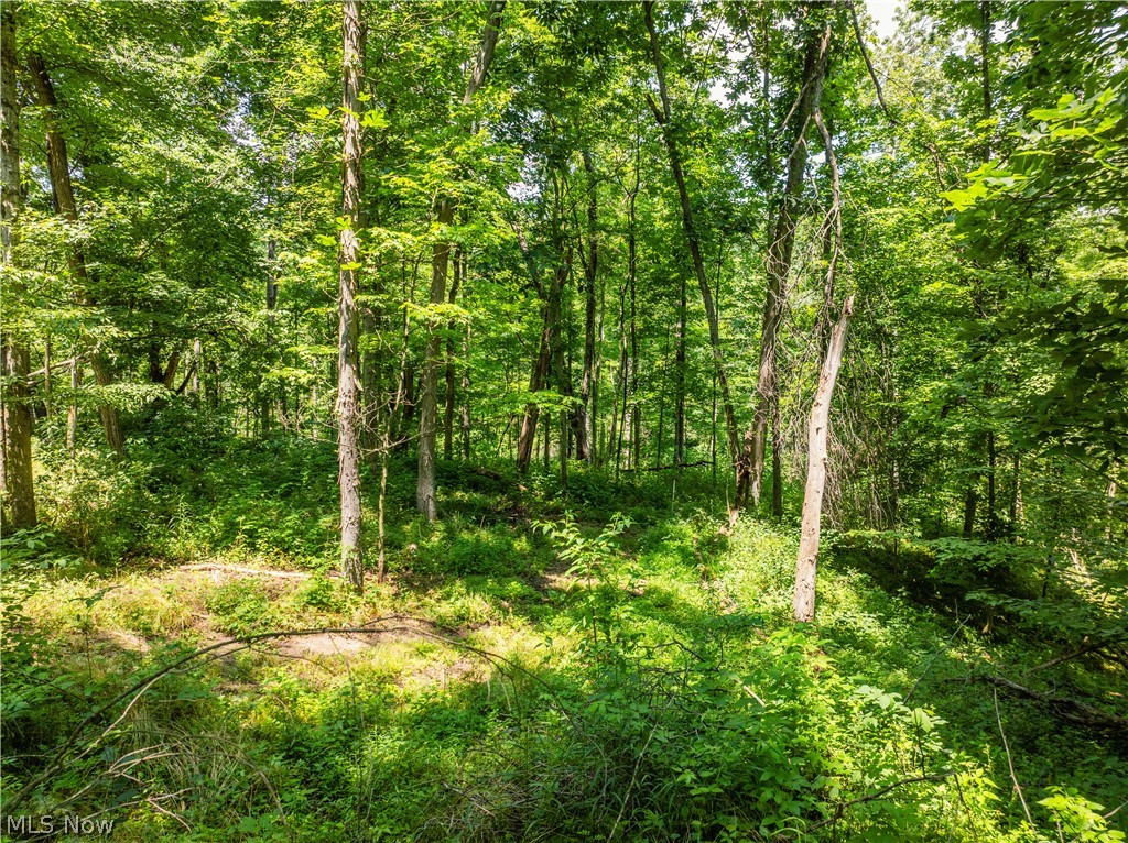 Lot 8 Township Road 51 Somerset OH 43783