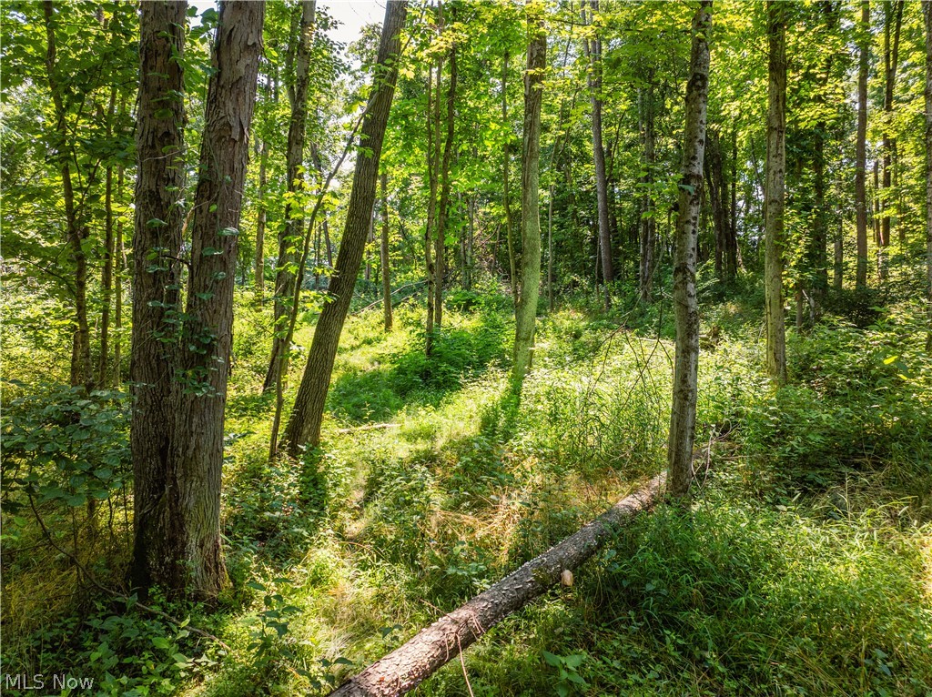 Lot 8 Township Road 51 Somerset OH 43783