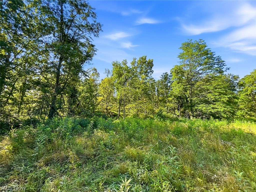 0 State Route 155 SE Corning OH 43730