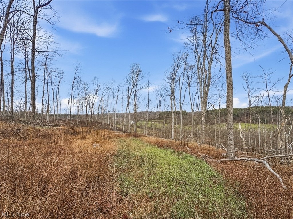 0 State Route 155 SE Corning OH 43730