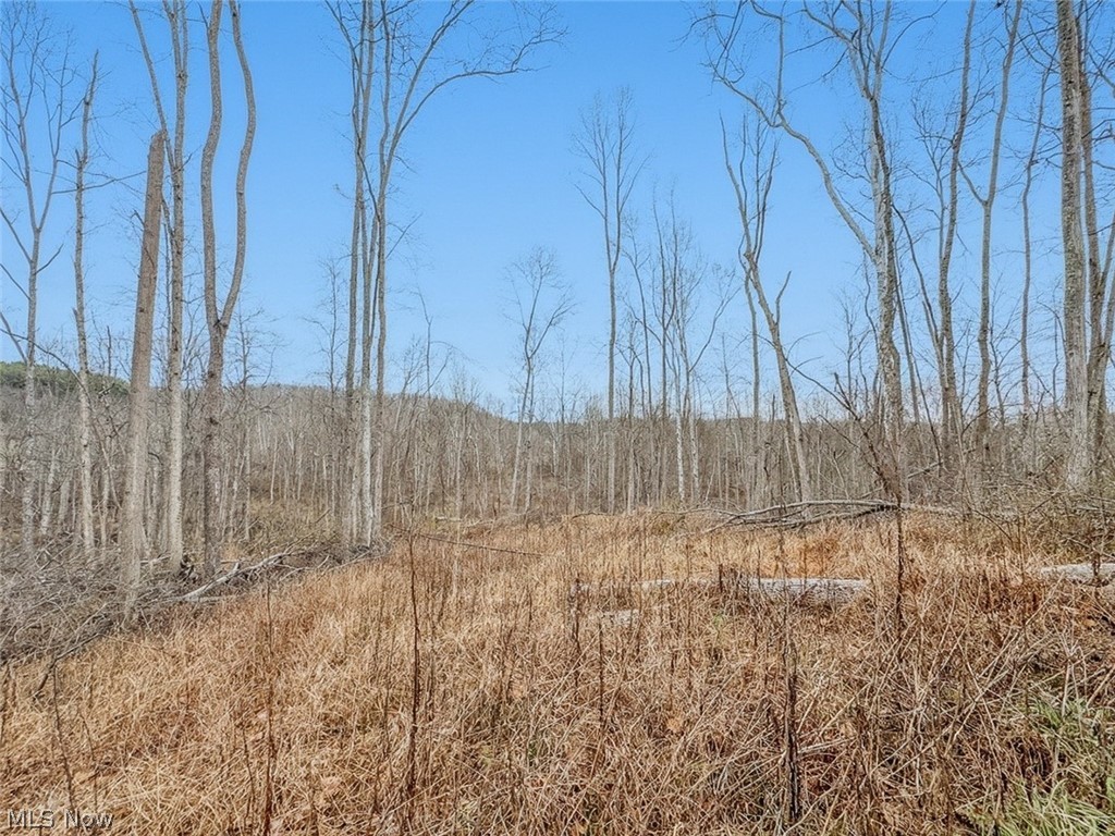 0 State Route 155 SE Corning OH 43730