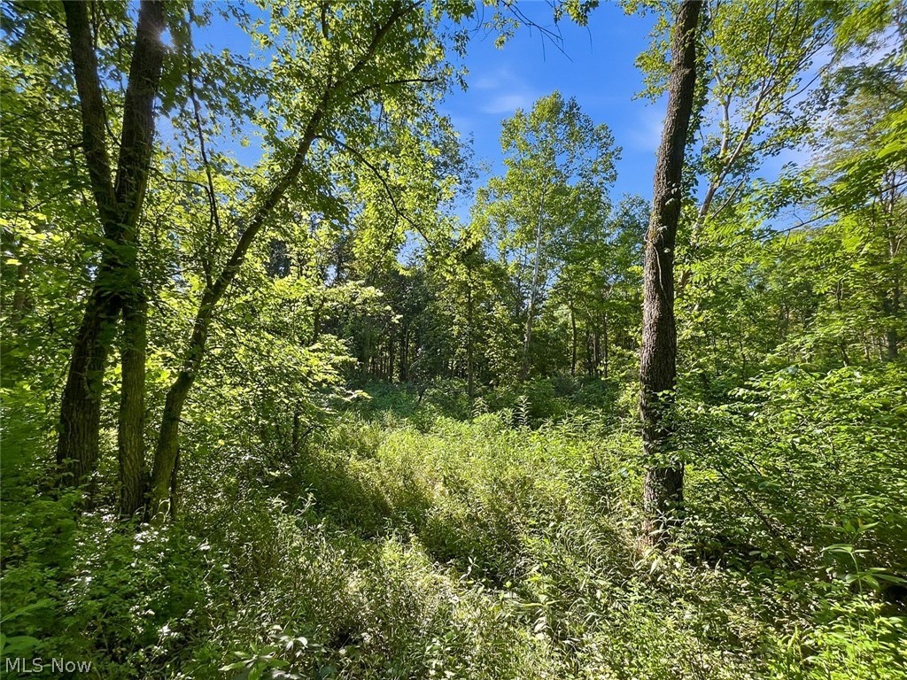 0 State Route 155 SE Corning OH 43730