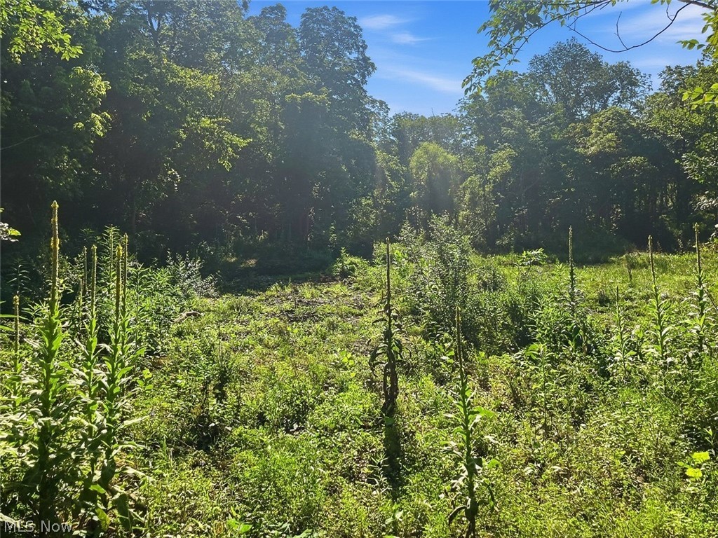 0 State Route 155 SE Corning OH 43730