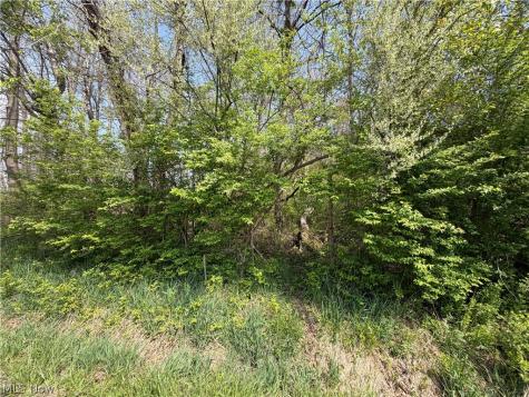 Village Street SE Canton OH 44707