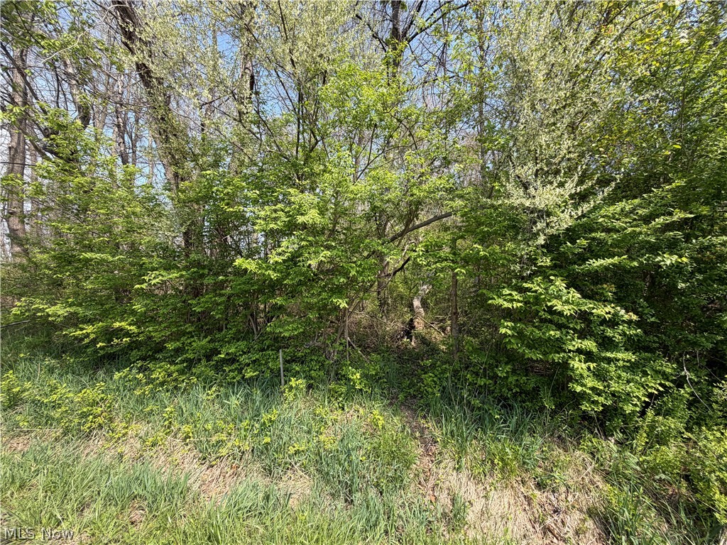 Village Street SE Canton OH 44707