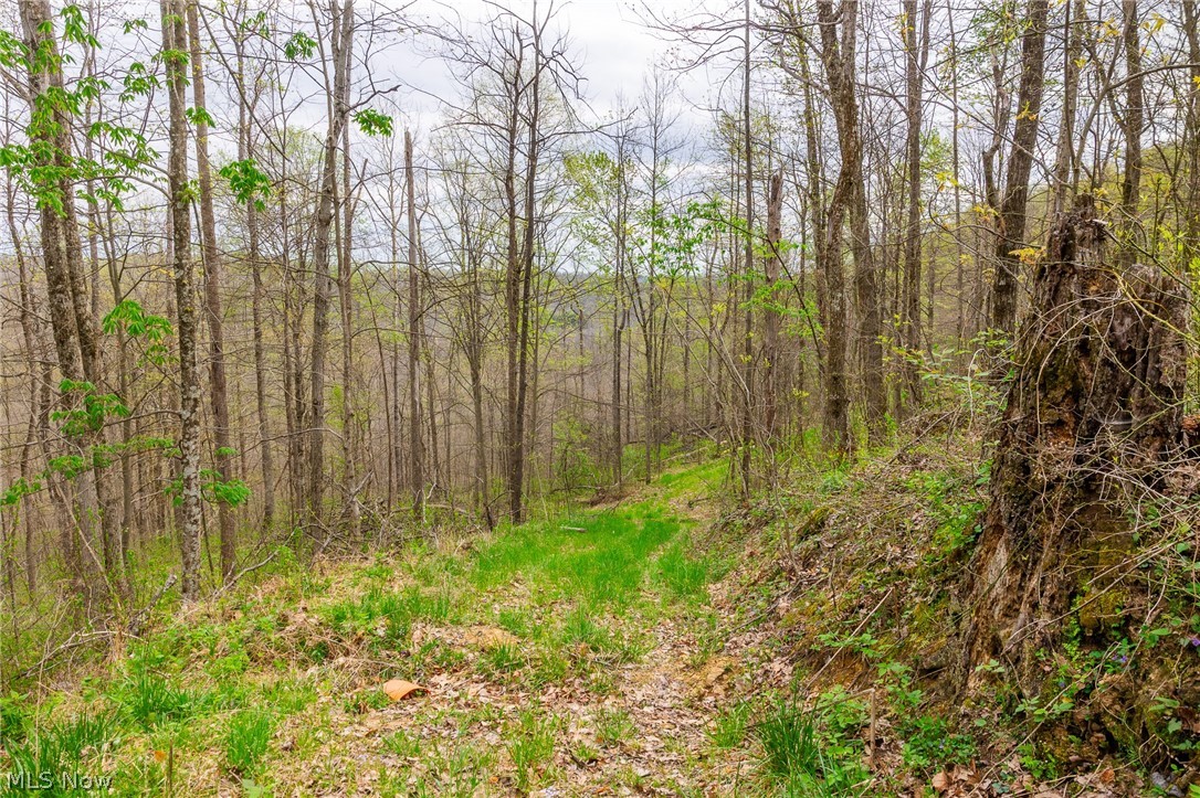 2115 Goss Fork Road Whipple OH 45788