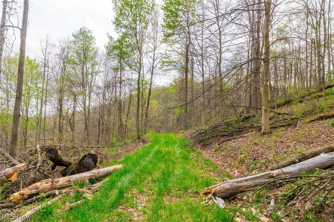 2115 Goss Fork Road Whipple OH 45788