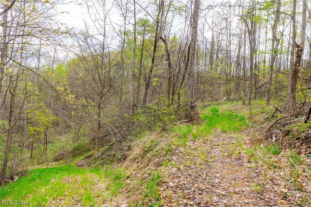 2115 Goss Fork Road Whipple OH 45788