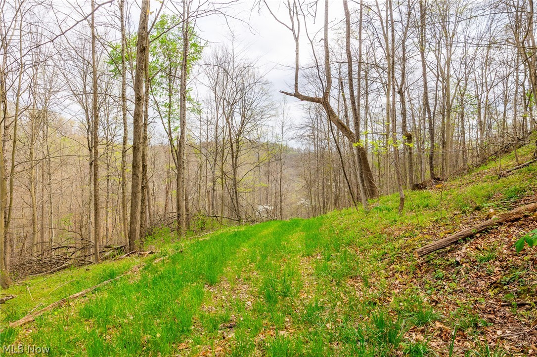2115 Goss Fork Road Whipple OH 45788