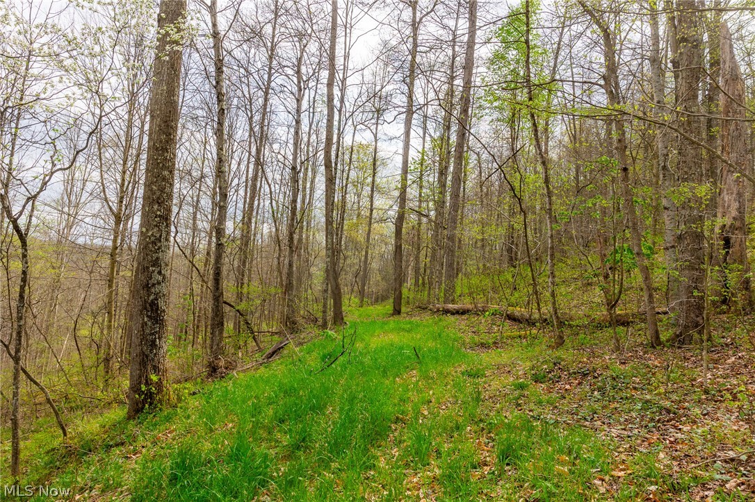2115 Goss Fork Road Whipple OH 45788