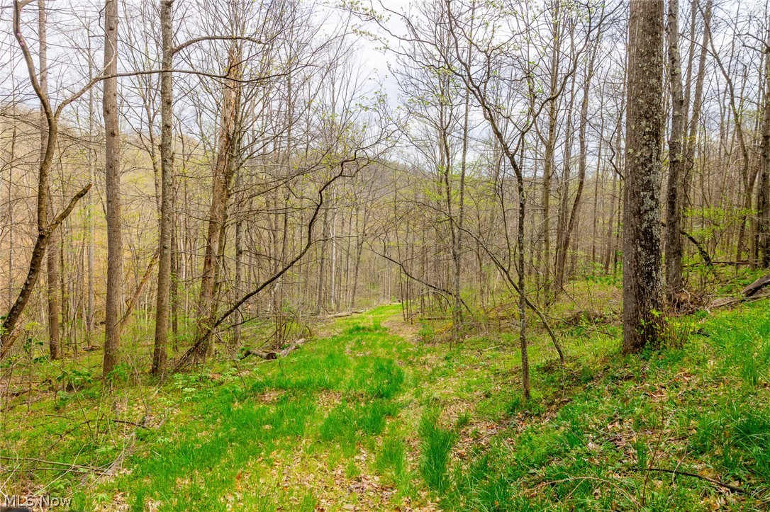 2115 Goss Fork Road Whipple OH 45788