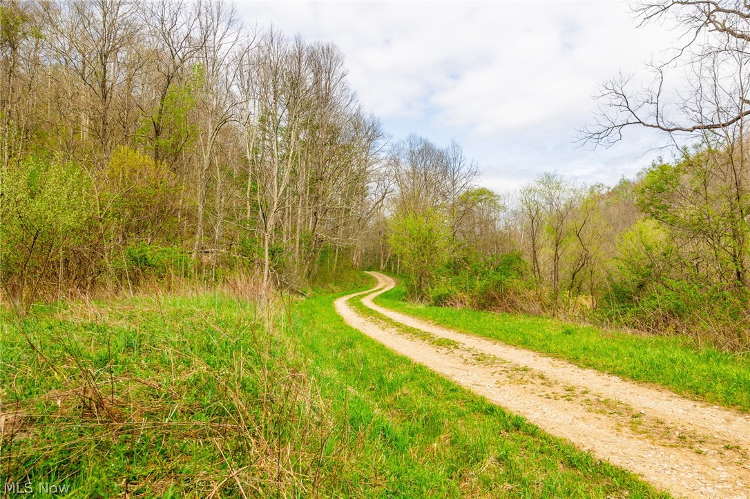 2115 Goss Fork Road Whipple OH 45788