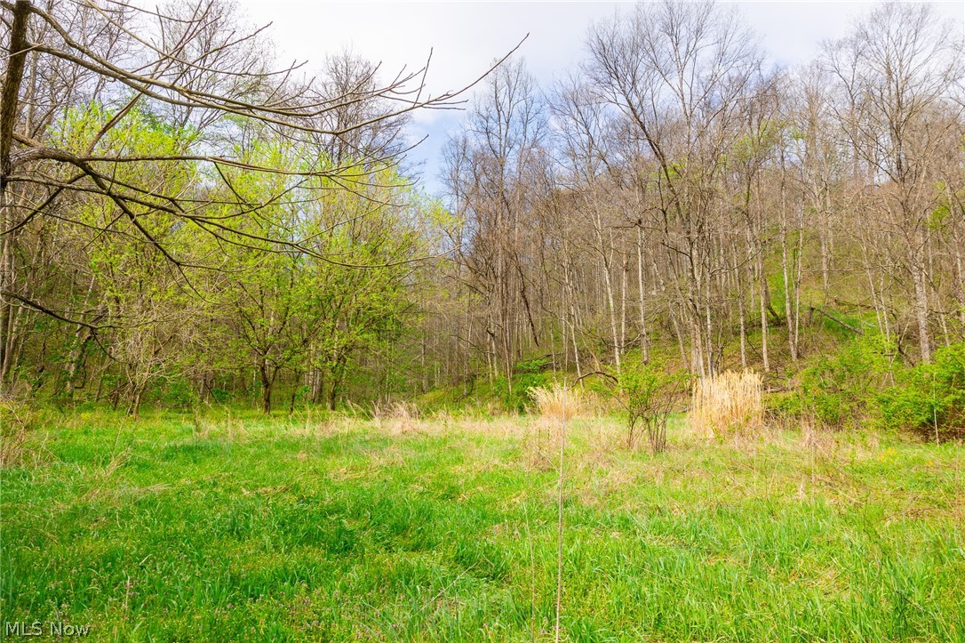 2115 Goss Fork Road Whipple OH 45788