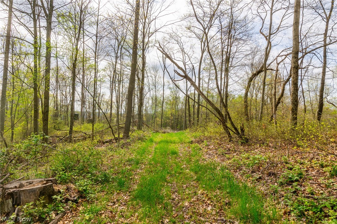 2115 Goss Fork Road Whipple OH 45788