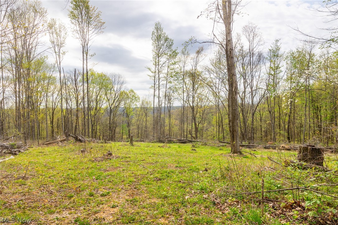 2115 Goss Fork Road Whipple OH 45788