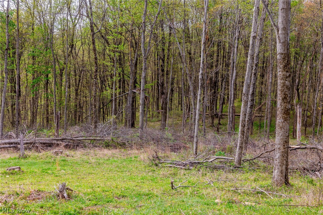 2115 Goss Fork Road Whipple OH 45788