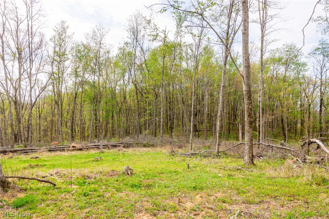 2115 Goss Fork Road Whipple OH 45788