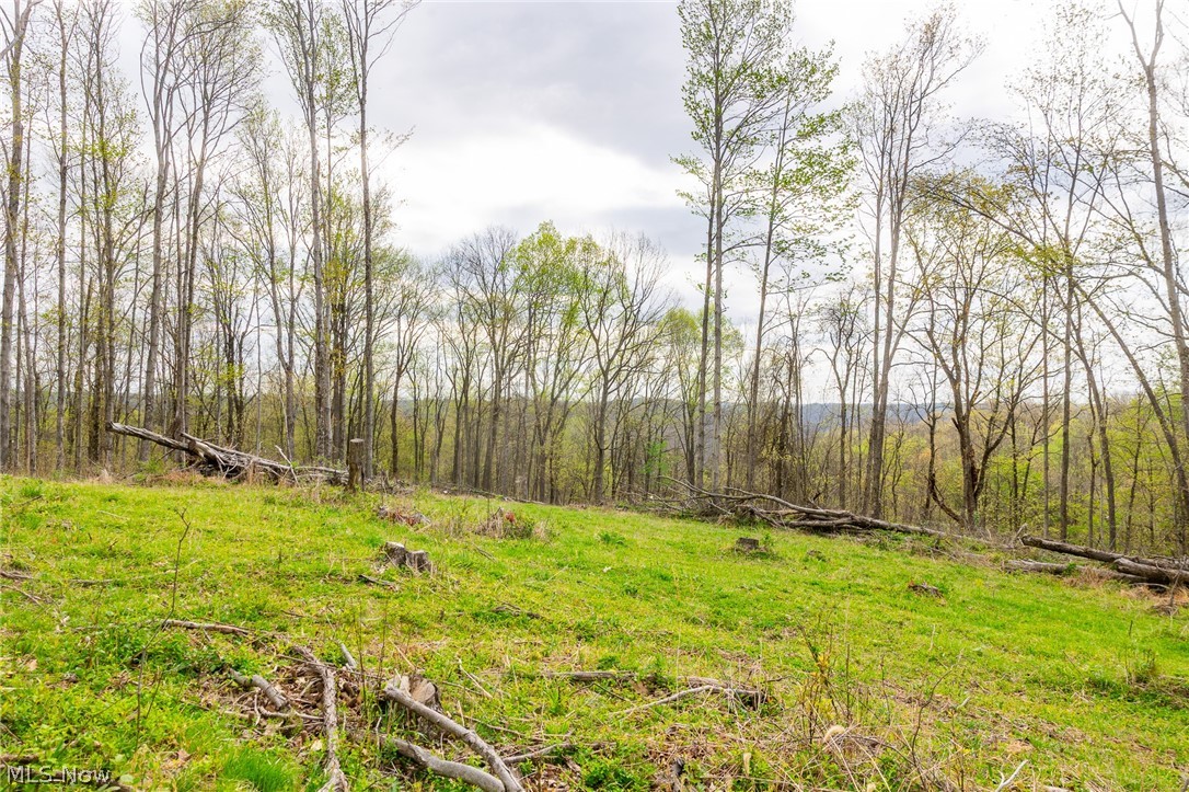 2115 Goss Fork Road Whipple OH 45788