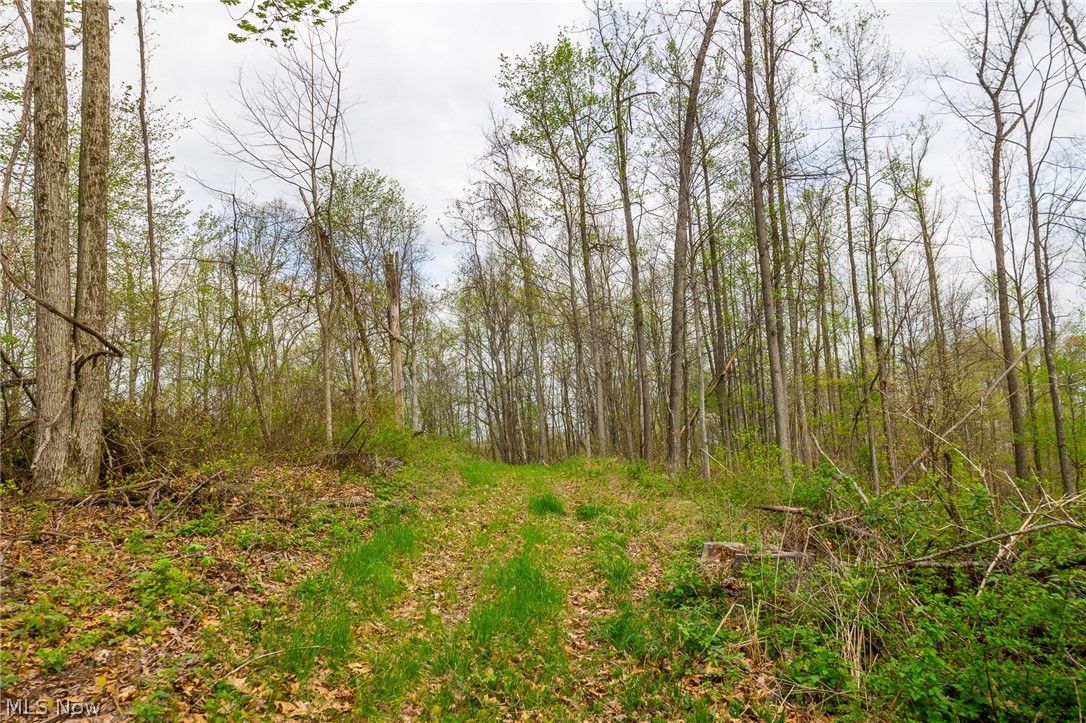 2115 Goss Fork Road Whipple OH 45788