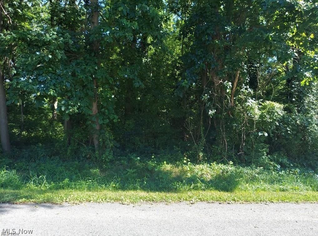 0 Recreation Drive Lake Milton OH 44429