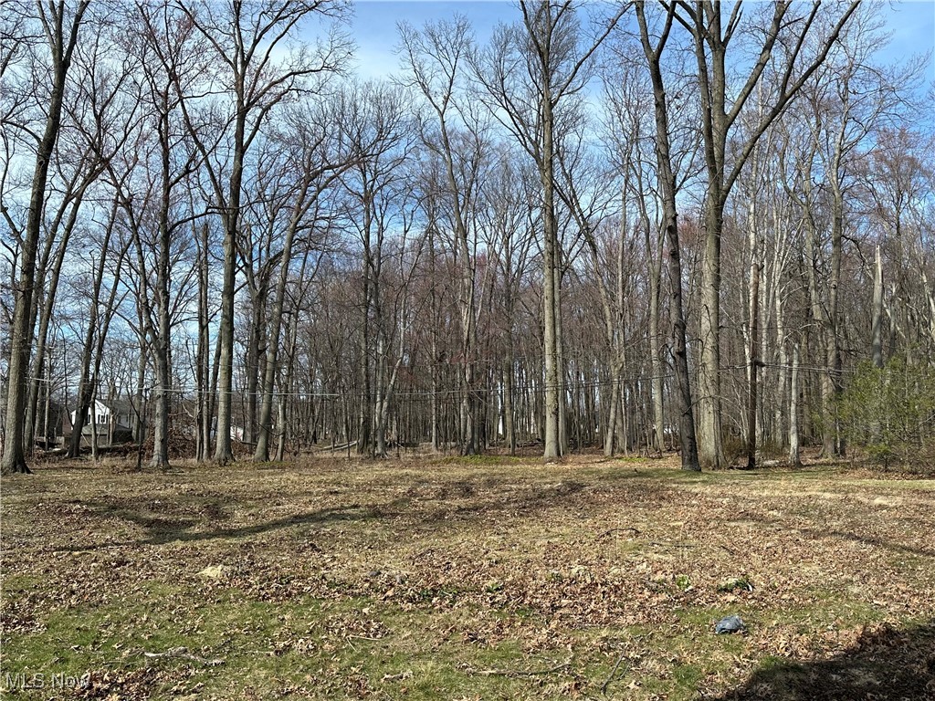 S/l 2 Redwood Boulevard Avon Lake OH 44012