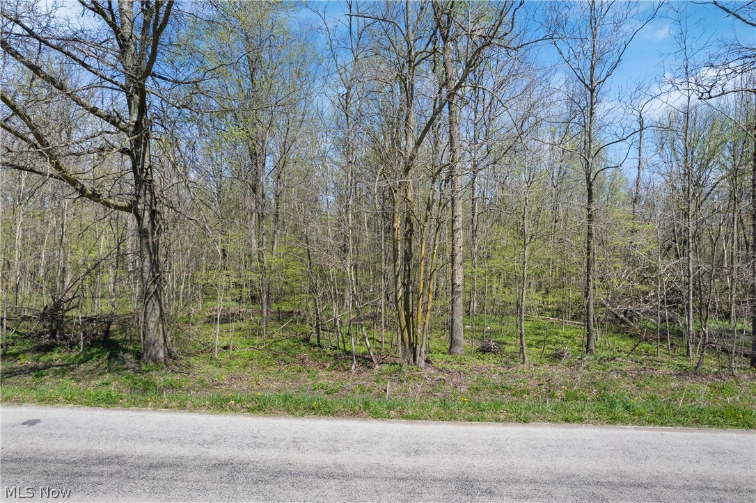 616 Township Road 150 Sullivan OH 44880