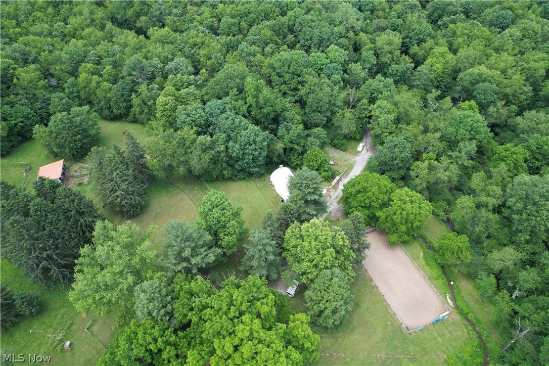 11811 Gaston Road Negley OH 44441