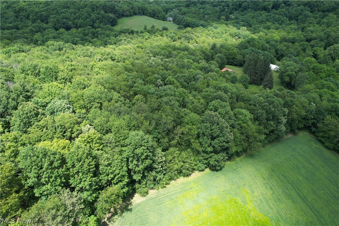 11811 Gaston Road Negley OH 44441