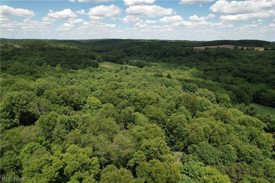 11811 Gaston Road Negley OH 44441