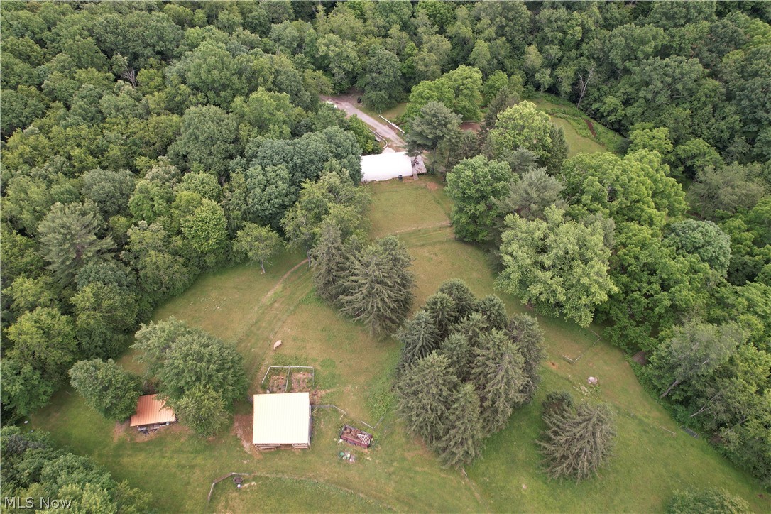 11811 Gaston Road Negley OH 44441