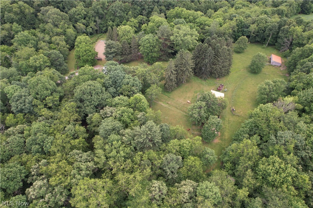 11811 Gaston Road Negley OH 44441