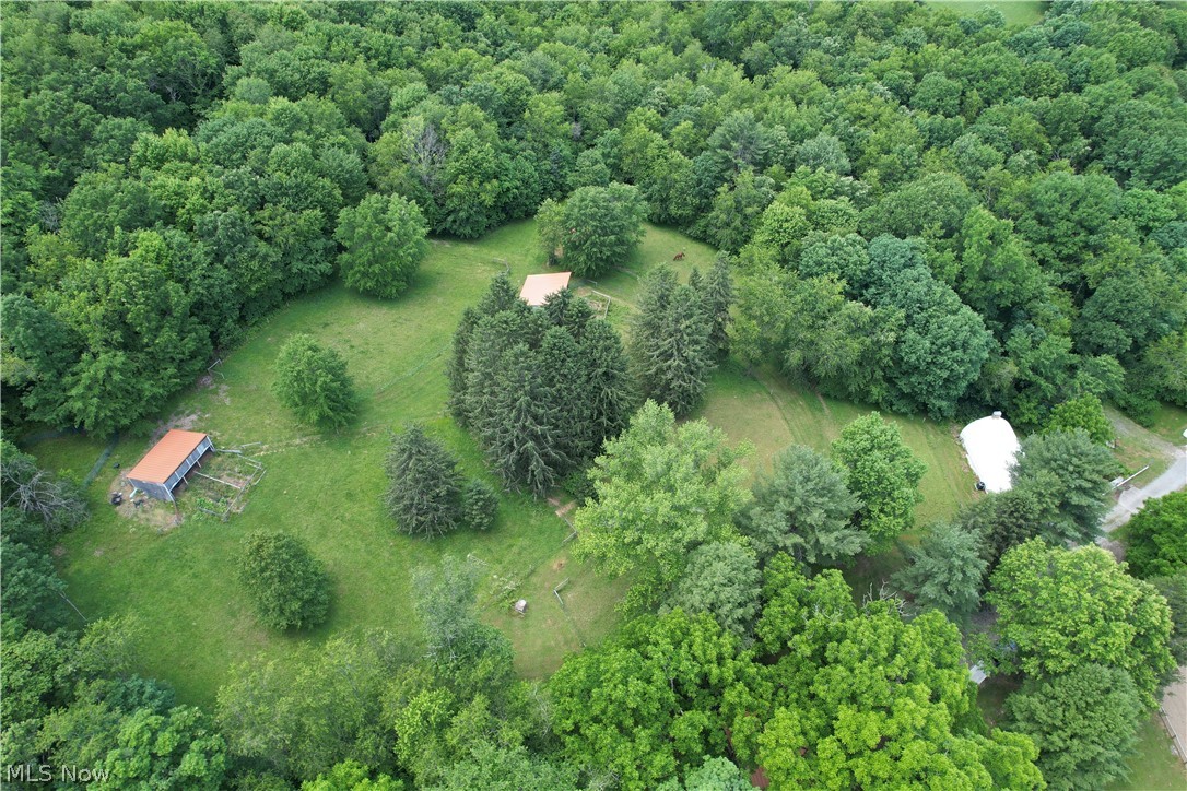 11811 Gaston Road Negley OH 44441