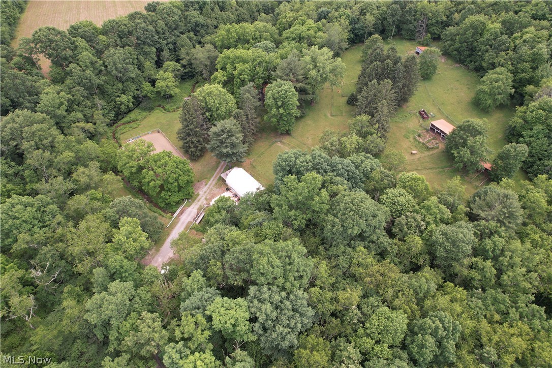 11811 Gaston Road Negley OH 44441