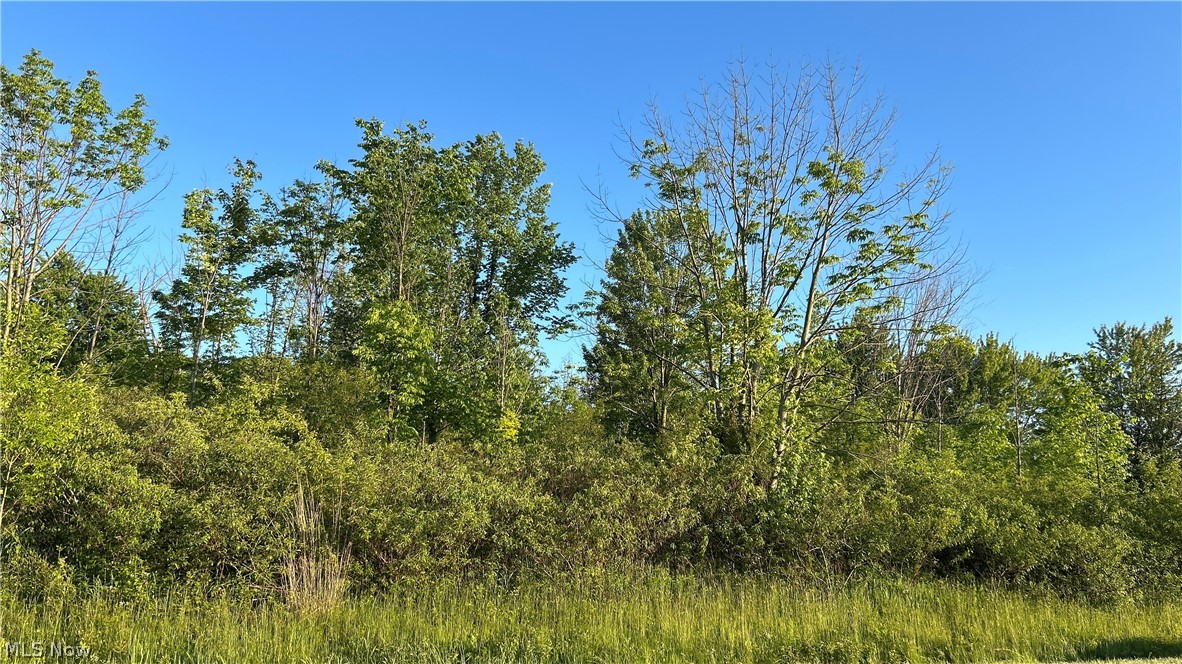 Weimer Drive Ashtabula OH 44004