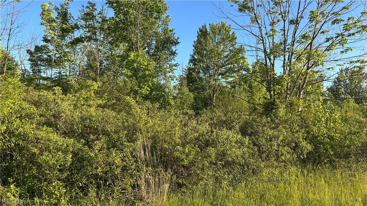 Weimer Drive Ashtabula OH 44004